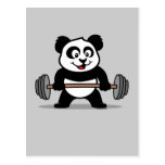 Panda d'haltérophilie carte postale