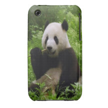 Panda Étui iPhone 3