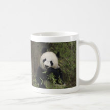 Panda géant mignon tasses à café