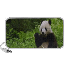 Panda Haut-parleur Mp3