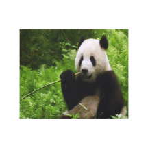 Panda Impression Sur Toile