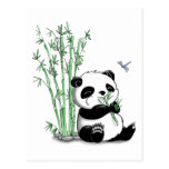 Panda mangeant le bambou carte postale