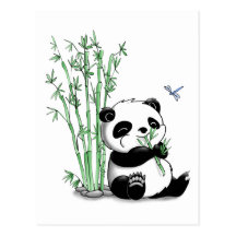 Panda mangeant le bambou carte postale