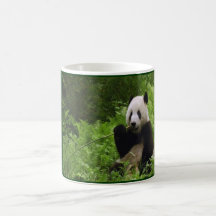 Panda Mugs