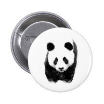 Panda Pin's Avec Agrafe
