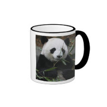 Pandas géants à la protection de panda géant et tasse