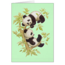 Pandas mignons cartes