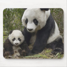 pandas tapis de souris