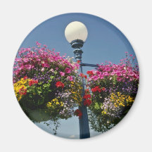 Paniers accrochants célèbres de la fleur de Victor Aimant