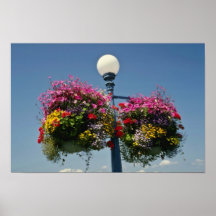 Paniers accrochants célèbres de la fleur de Victor Posters