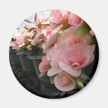 Paniers accrochants de fleur aimant