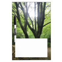 Panneau de note de soleil de région boisée tableau blanc effaçable à sec