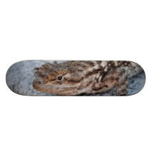 Panneau de reptile plateaux de planche à roulettes
