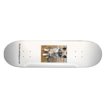 Panneau SK8 diesel Planches À Roulettes