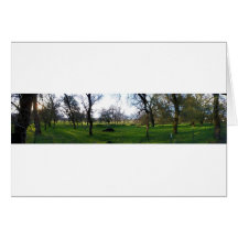 Panorama 9 cartes de vœux
