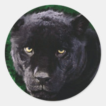 Panthère noire adhésifs ronds