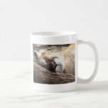 PANTHÈRE tasses