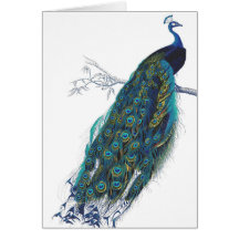 Paon bleu avec de belles plumes de queue cartes de vœux