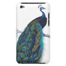 Paon bleu avec de belles plumes de queue coque Case-Mate iPod touch