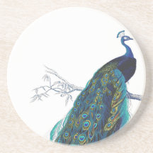 Paon bleu avec de belles plumes de queue dessous de verres