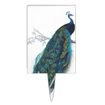 Paon bleu avec de belles plumes de queue piques à gâteau