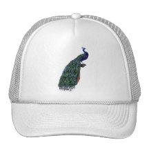 Paon bleu chic français vintage casquette