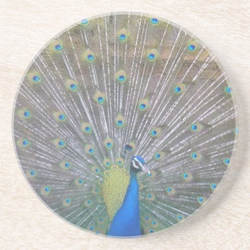 Paon (celui) dessous de verre
