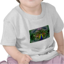 Paon Dreamcatcher T-shirts