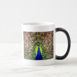 PAON tasses