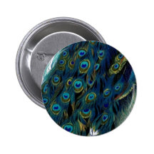 Paon vintage badges avec agrafe