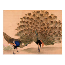Paon vintage cartes postales