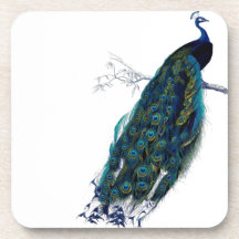 Paon vintage sous-bock