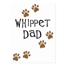 Papa de whippet pour des papas de chien de whippet carte postale