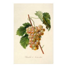 Papeterie de Chasselat De Fontainebleau Papier À Lettre Personnalisé
