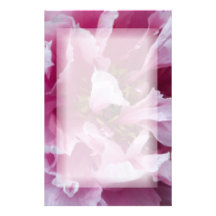 Papeterie rose de pivoine papier à lettre personnalisable