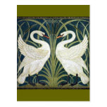 Papier peint de cygne et de précipitation et d'iri carte postale