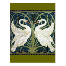 Papier peint de cygne et de précipitation et d'iri carte postale