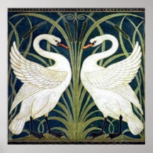 Papier peint de cygne et de précipitation et d'iri posters