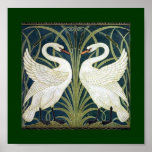 Papier peint de cygne et de précipitation et d'iri poster