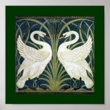 Papier peint de cygne et de précipitation et d'iri poster