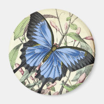 Papillon Aimant