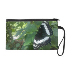 papillon au printemps dragonne