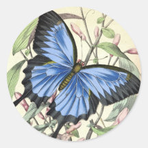 Papillon Autocollants