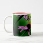 Papillon blanc sur la tasse rose de Coneflower