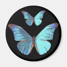 Papillon bleu assez iridescent aimants