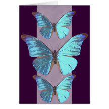 Papillon bleu assez iridescent cartes de vœux