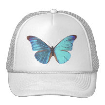 Papillon bleu assez iridescent casquette