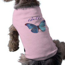 Papillon bleu assez iridescent manteaux pour chien