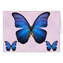 Papillon bleu magnifique de Morpho Cartes De Vœux