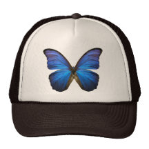 Papillon bleu magnifique de Morpho Casquette